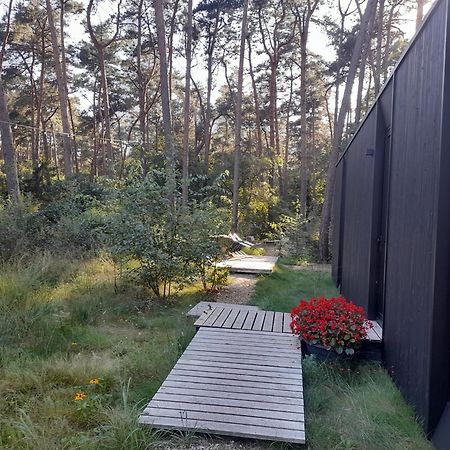 Black Box Lille Luaran gambar